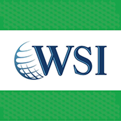 WSI eMarketing Logo