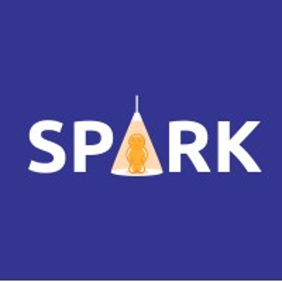 Spark Market Research Logo