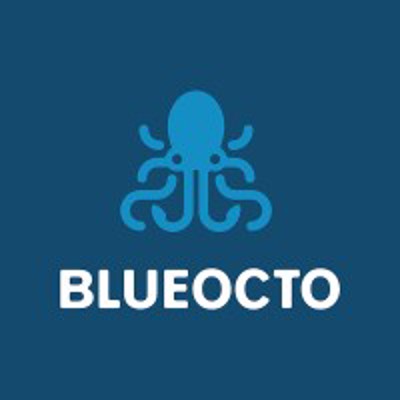 Blueocto Logo